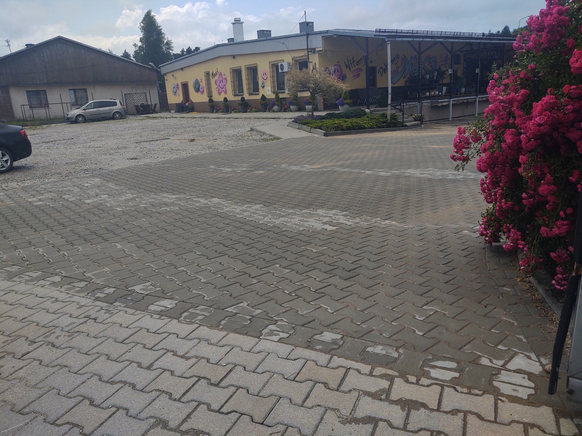 Ułożona szara kostka brukowa na podjeździe przed budynkiem z dekoracjami graffiti, z elementami różowych kwiatów w prawym rogu.