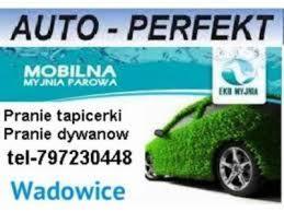 Reklama mobilnej myjni parowej 'Auto-Perfekt' z Wadowic, oferującej pranie tapicerki i dywanów, z numerem telefonu 797230448, logo 'EKO MYJA' i samochodem pokrytym trawą.