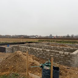 Glazurnik Prusinowice 1