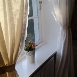 Jasne, kremowe zasłony z koronkowym wykończeniem w oknie, z białym parapetem, na którym stoi doniczka z różowymi kwiatami, nad grzejnikiem.