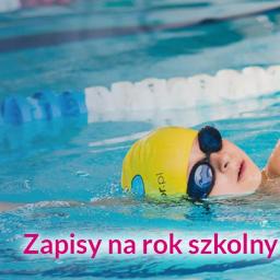 Szkoła Pływania Aligator - Trener Pływania Kraków