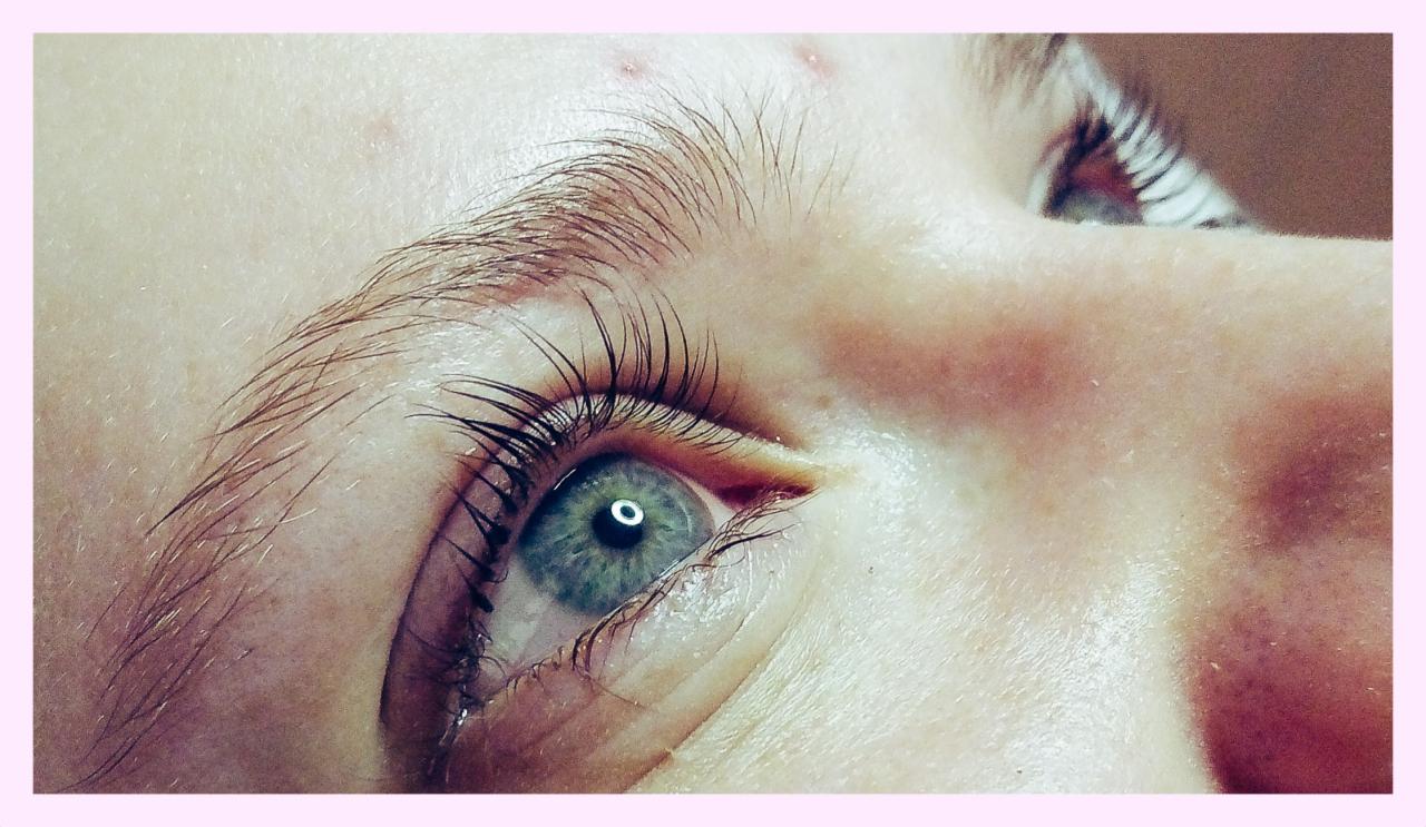 Zbliżenie na oko po zabiegu liftingu rzęs, widoczne uniesione i wydłużone rzęsy oraz naturalny kształt brwi.