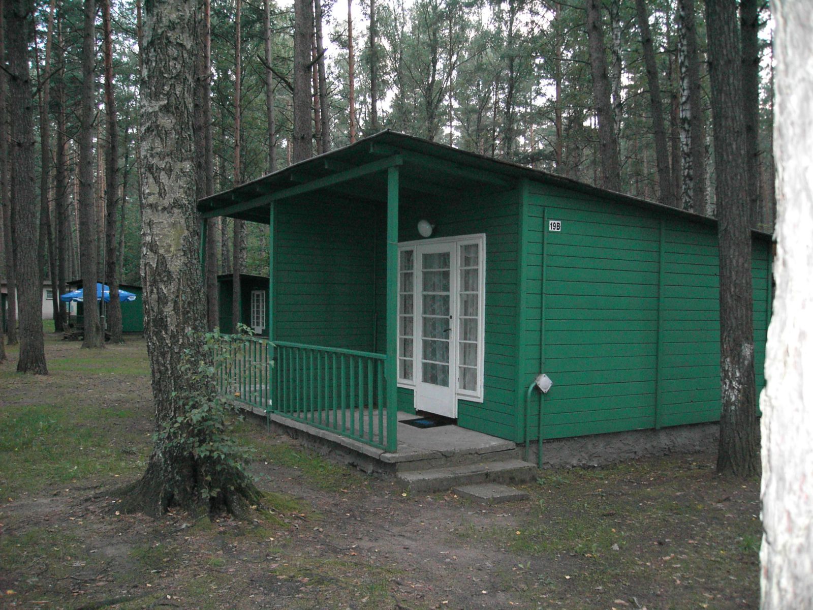 Zielony, drewniany domek letniskowy z białymi drzwiami i numerem 19B, otoczony drzewami.