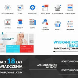 Grafika prezentująca ofertę firmy z zakresu marketingu internetowego: ikony usług (pozycjonowanie, opinie, płatne linki, social media, blog ekspercki, strona/sklep, hosting, domena, audyty, słowa...