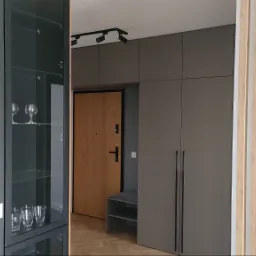 Szafa korytarz, witryna przeszklona, lamele na ścianie