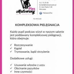 Malowany Pies - Groomer Strzyżenie Psów Warszawa 3