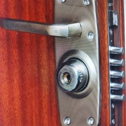 Serwis Domowy Valdi , Waldemar Michalski - Zamek wielopunktowy w drzwiach z drewnianą okleiną, widoczne bolce i wkładka. Metalowa klamka i szyld zamka. Detal zabezpieczeń antywłamaniowych.