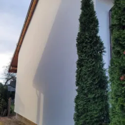 Boczny widok otynkowanej, jasnej elewacji domu jednorodzinnego z brązowymi elementami wykończeniowymi, obok rosną wysokie tuje.