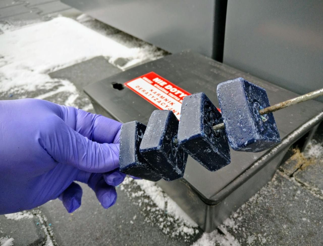 deratyzacja zwalczanie gryzoni myszy szczurów monitoring ochrona zakładów