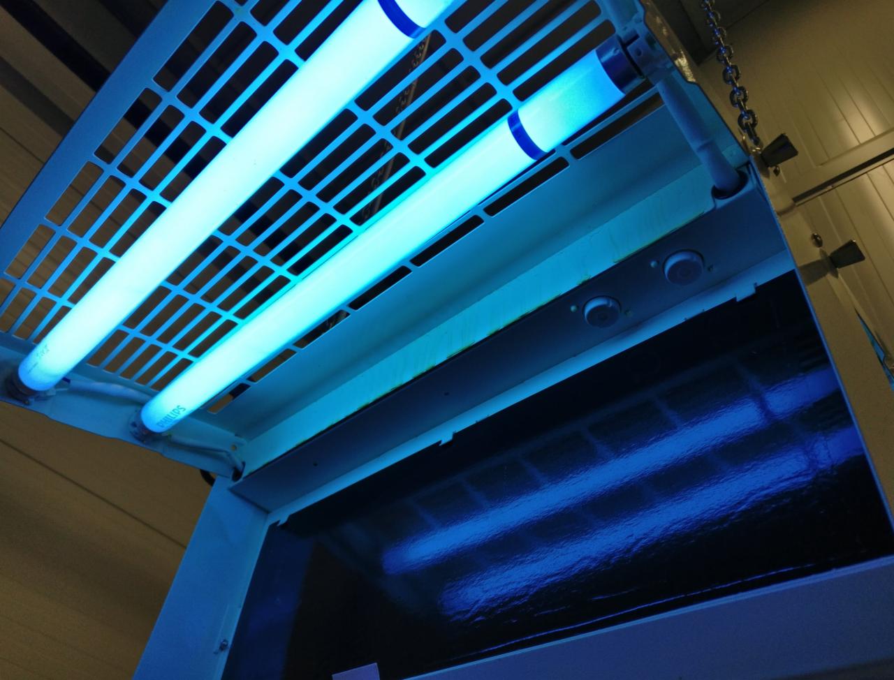 monitoring DDD zakładów zwalczanie much owadów meszek