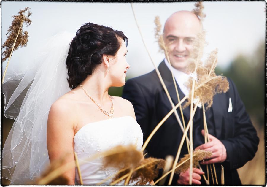 Panna młoda w białej sukni i welonie spogląda na pana młodego trzymającego w dłoniach źdźbła trawy, z delikatnym uśmiechem na twarzy.