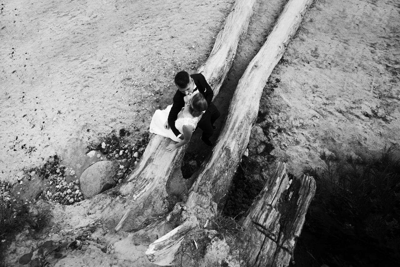 Czarno-białe zdjęcie z lotu ptaka przedstawiające całującą się parę młodą, siedzącą na dwóch równoległych pniach drzew, z piaszczystym podłożem i roślinnością w tle.