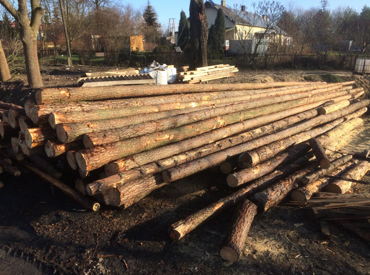 Stos świeżo ściętych, okorowanych bali drzewnych ułożonych na ziemi, widoczne budynki w tle.