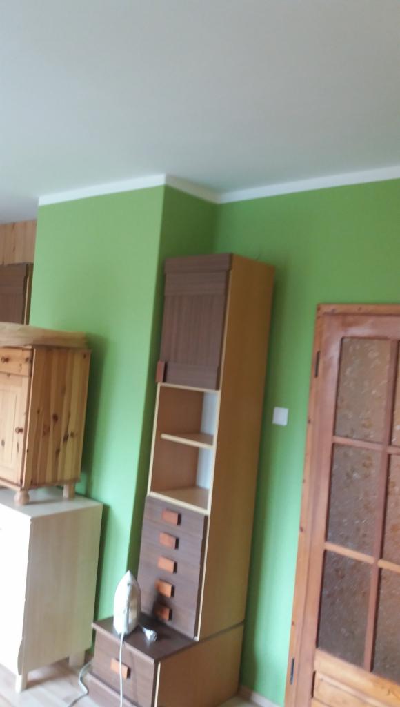 Zielona ściana w pokoju z drewnianymi meblami: szafką, komodą i drzwiami. Na szafce stoi żelazko.