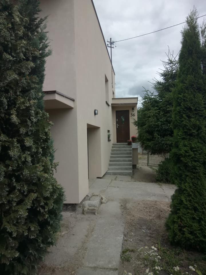 Jasna elewacja dwukondygnacyjnego domu z numerem 56 nad wejściem, betonowe schody prowadzące do ciemnych drzwi, ozdobne iglaki po bokach ścieżki i figurka psa na chodniku.