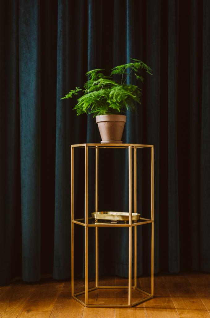 Złoty, metalowy regał na rośliny z paprocią w ceramicznej doniczce, na tle ciemnozielonych zasłon w Poznaniu.