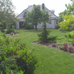 Zadbany ogród z równo przystrzyżonym trawnikiem, ozdobnymi krzewami i drzewami iglastymi na tle białego domu z ciemnym dachem.