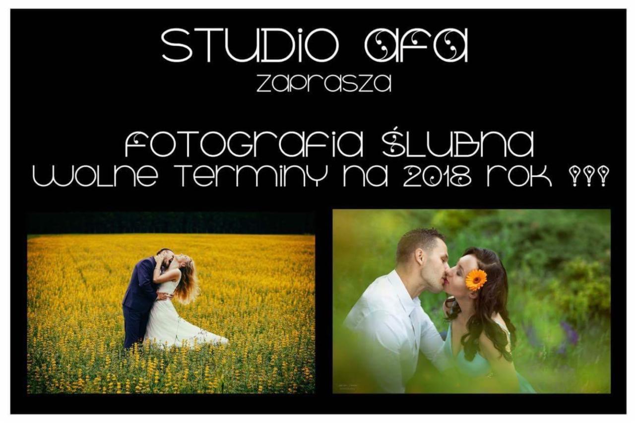 Grafika reklamowa studia fotografii ślubnej z hasłem 'wolne terminy na 2018 rok', prezentująca parę młodą całującą się na łące oraz w zbliżeniu.