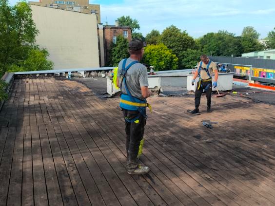 Pracownicy w uprzężach na drewnianym dachu podczas prac remontowych. Jeden z nich zamiata. Widok z perspektywy osoby stojącej za nimi.