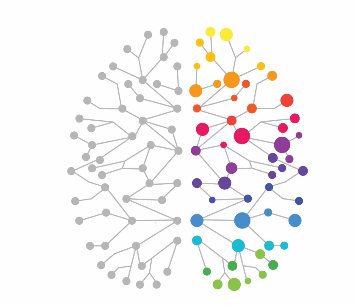 Stylizowany schemat mózgu z szarymi połączeniami nerwowymi po lewej stronie i kolorowymi (żółty, pomarańczowy, czerwony, fioletowy, niebieski, zielony) po prawej, symbolizujący być może różne...