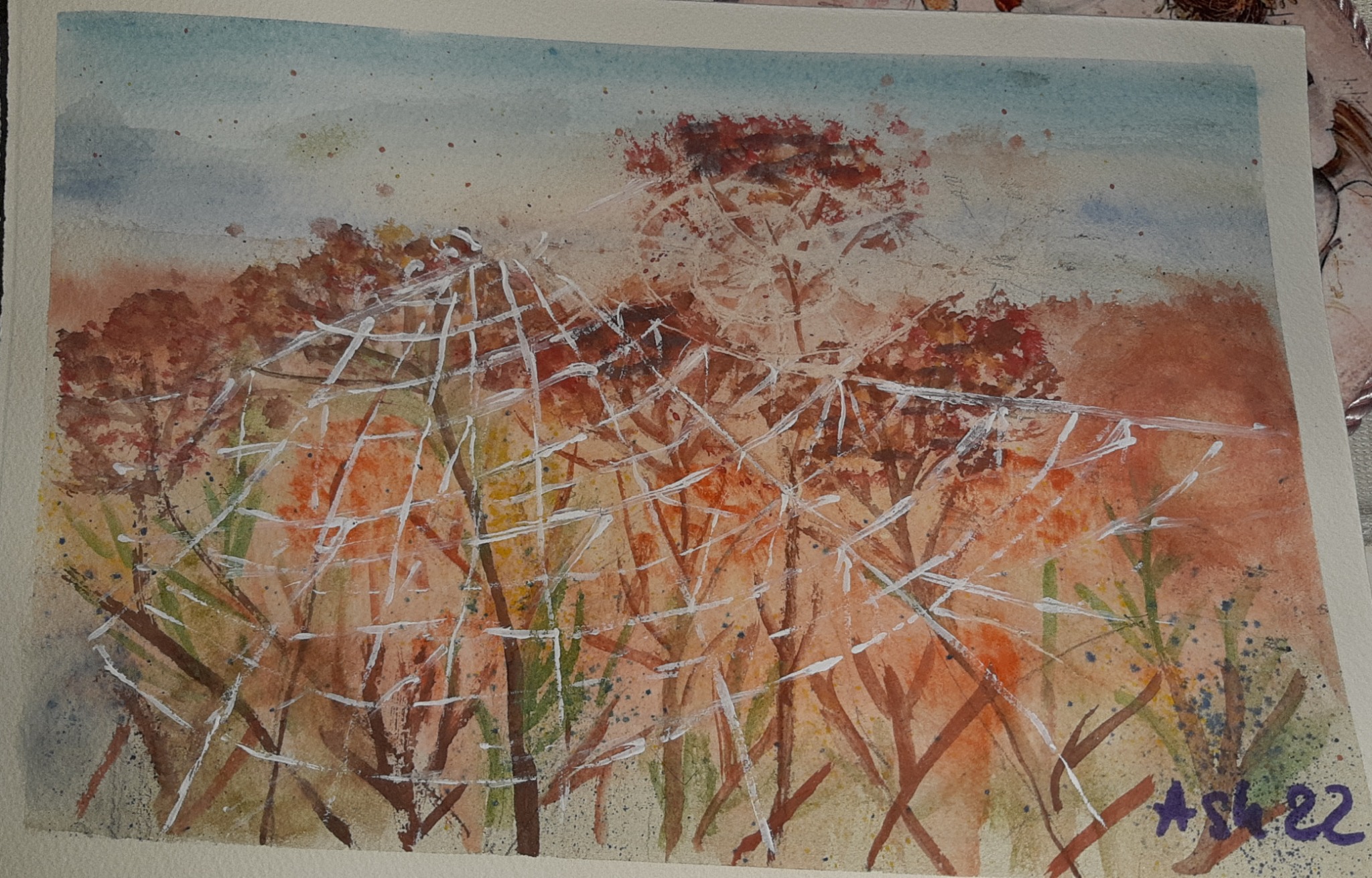 Format 20x30. Akwarela.