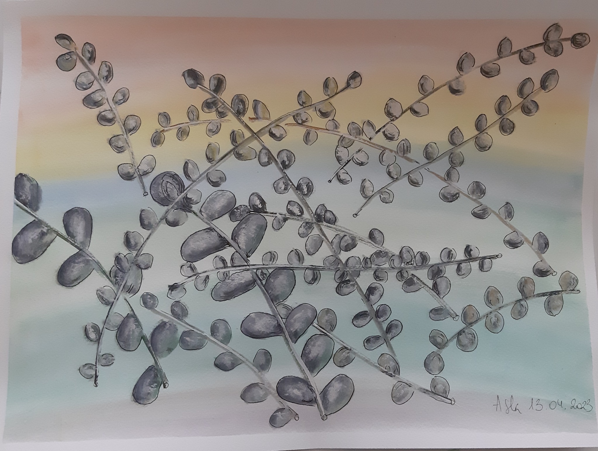 Bazie, akwarela, A3.