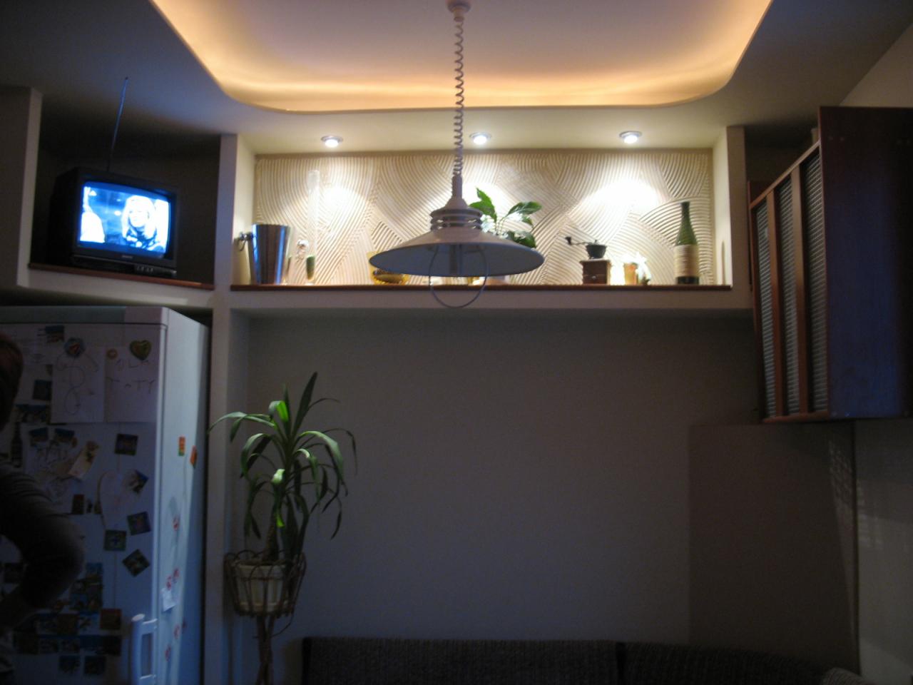 Ściana pokoju z półką, na której stoją dekoracje, oświetlona od góry halogenami, pod nią roślina doniczkowa, po lewej lodówka z magnesami, a w górnym lewym rogu telewizor z anteną.