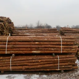 Stosy okrąglaków drewnianych, związanych białym sznurkiem, ułożone na placu składowym, widoczne ślady śniegu, pochmurne niebo w tle.
