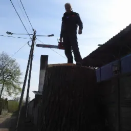 Mężczyzna stojący na ściętym pniu drzewa z piłą łańcuchową w ręku, widok z dołu, w tle budynki i słupy energetyczne.