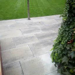 Świeżo ułożona, szara kostka brukowa na ścieżce ogrodowej, obok trawnika i drzewa z bluszczem, widoczne delikatne ślady po deszczu.