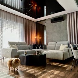 Archi-Ann Adam Skrzypczyński - Nowoczesny salon z szarą, modułową sofą, czarnym, błyszczącym sufitem podwieszanym z oświetleniem punktowym, drewnianą podłogą i psem rasy pomeranian na pierwszym planie.
