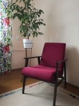 Fotel tapicerowany w kolorze burgundowym na tle jasnej ściany, obok doniczka z zieloną rośliną na metalowym stojaku, widoczny fragment wzorzystej zasłony i dywanu.