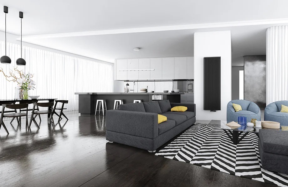 Nowoczesne wnętrze: czarny grzejnik panelowy pionowy na białej ścianie, szara sofa z żółtymi poduszkami, czarno-biały dywan w paski, otwarta kuchnia w tle.