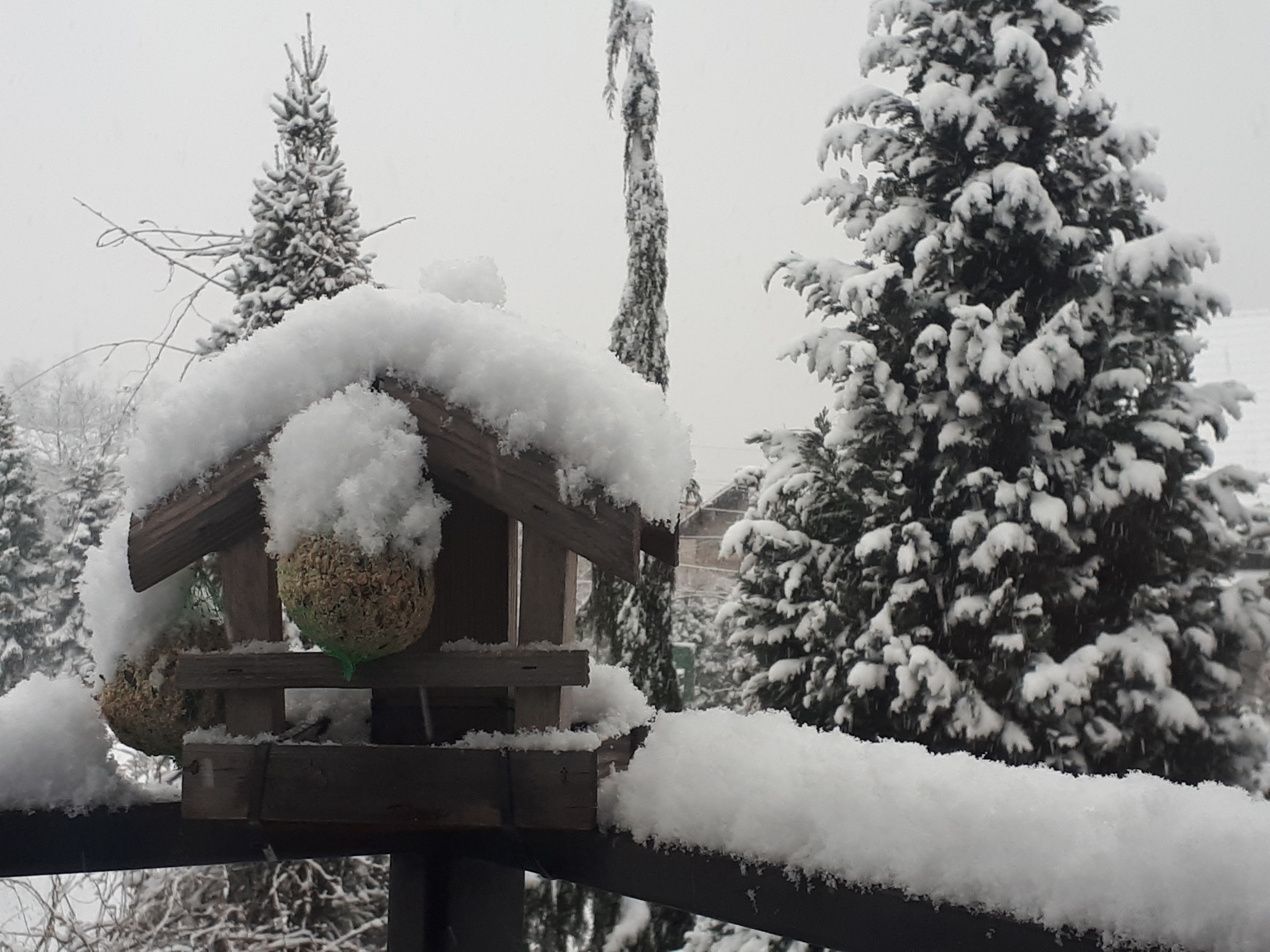 Drewniany karmnik dla ptaków oblepiony śniegiem, wiszące kule z ziarnami, zasypane śniegiem drzewa iglaste w tle, szara zimowa aura.
