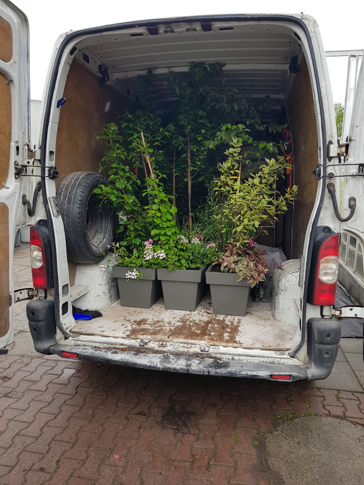 Wnętrze brudnego, białego furgonetki z otwartymi drzwiami wypełnione roślinami w donicach i drzewkami, z kołem zapasowym przymocowanym do boku, widoczne z tyłu pojazdu.