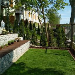 Marcin Pasieka - Ogród w zabudowie szeregowej we Wrocławiu z równo przystrzyżonym trawnikiem, gabionami tworzącymi podwyższone rabaty z roślinami i drewnianym siedziskiem, oraz żywopłotem z tuj.