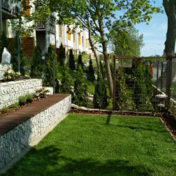 Ogród w zabudowie szeregowej we Wrocławiu z równo przystrzyżonym trawnikiem, gabionami tworzącymi podwyższone rabaty z roślinami i drewnianym siedziskiem, oraz żywopłotem z tuj.