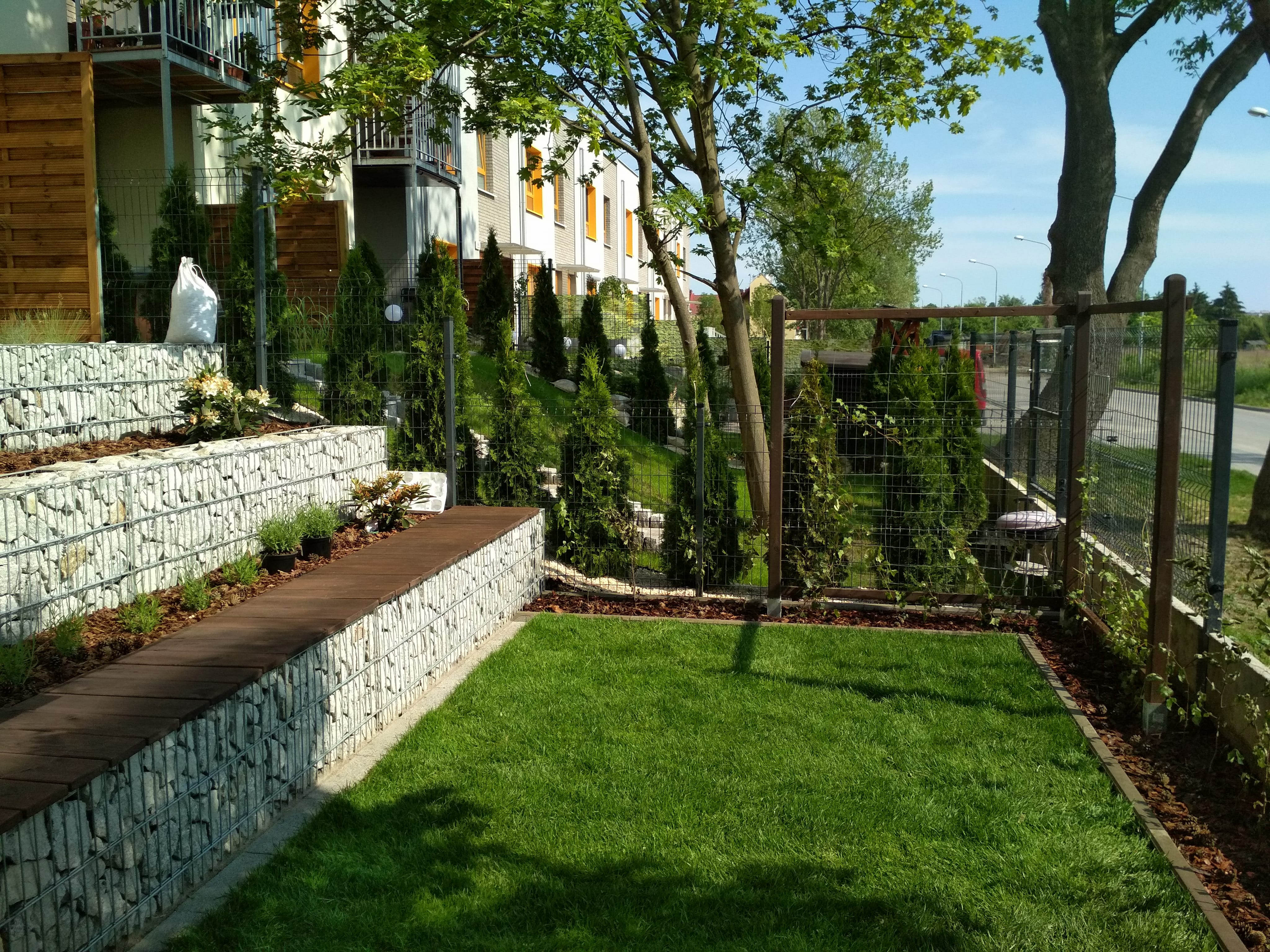 Ogród w zabudowie szeregowej we Wrocławiu z równo przystrzyżonym trawnikiem, gabionami tworzącymi podwyższone rabaty z roślinami i drewnianym siedziskiem, oraz żywopłotem z tuj.