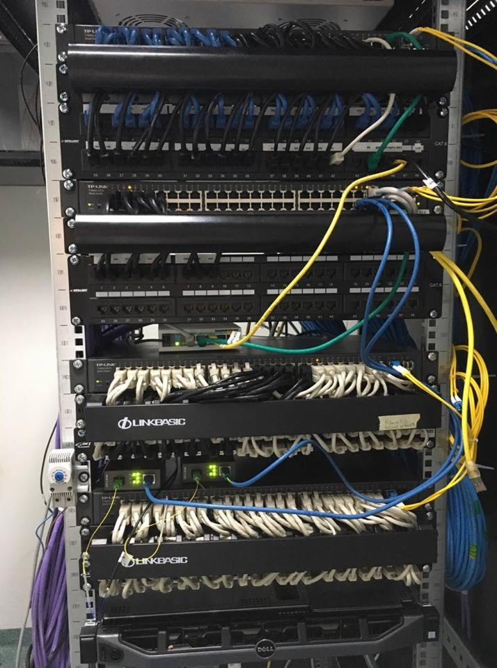 Rządowy serwer w szafie rack z panelami krosowniczymi, przełącznikami sieciowymi TP-Link i Linkbasic oraz kolorowymi kablami Ethernet, w tym żółtymi kablami kategorii 6.