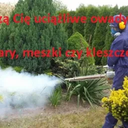 Osoba w kombinezonie ochronnym, masce i słuchawkach, opryskuje roślinność w ogrodzie za pomocą zamgławiacza termicznego, wytwarzającego gęstą, białą mgłę.