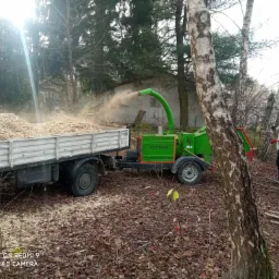 Ciężar&oacute;wka z przyczepioną rębarką Timberwolf, wypełniona świeżymi zrębkami drzewnymi, mężczyzna w tle przy pniach drzew.