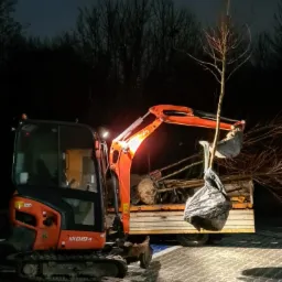 Pomarańczowa minikoparka Kubota KX019-4 podnosi drzewo z gołym korzeniem zapakowane w czarną folię, przygotowane do zasadzenia; w tle drzewa i nocne niebo.