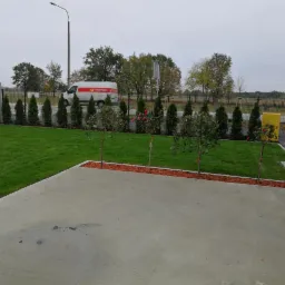 Świeżo założony trawnik z rolki, obrzeża wykończone korą, młode drzewka posadzone w rzędzie, w tle rząd tuj i budynek poczty.