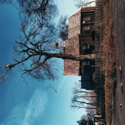 Pracownik zabezpieczony linami, w trakcie pracy na wysokości drzewa w Zapolicach, z widocznym budynkiem w tle.