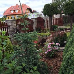 Projektowanie ogrodów Miszewko 10