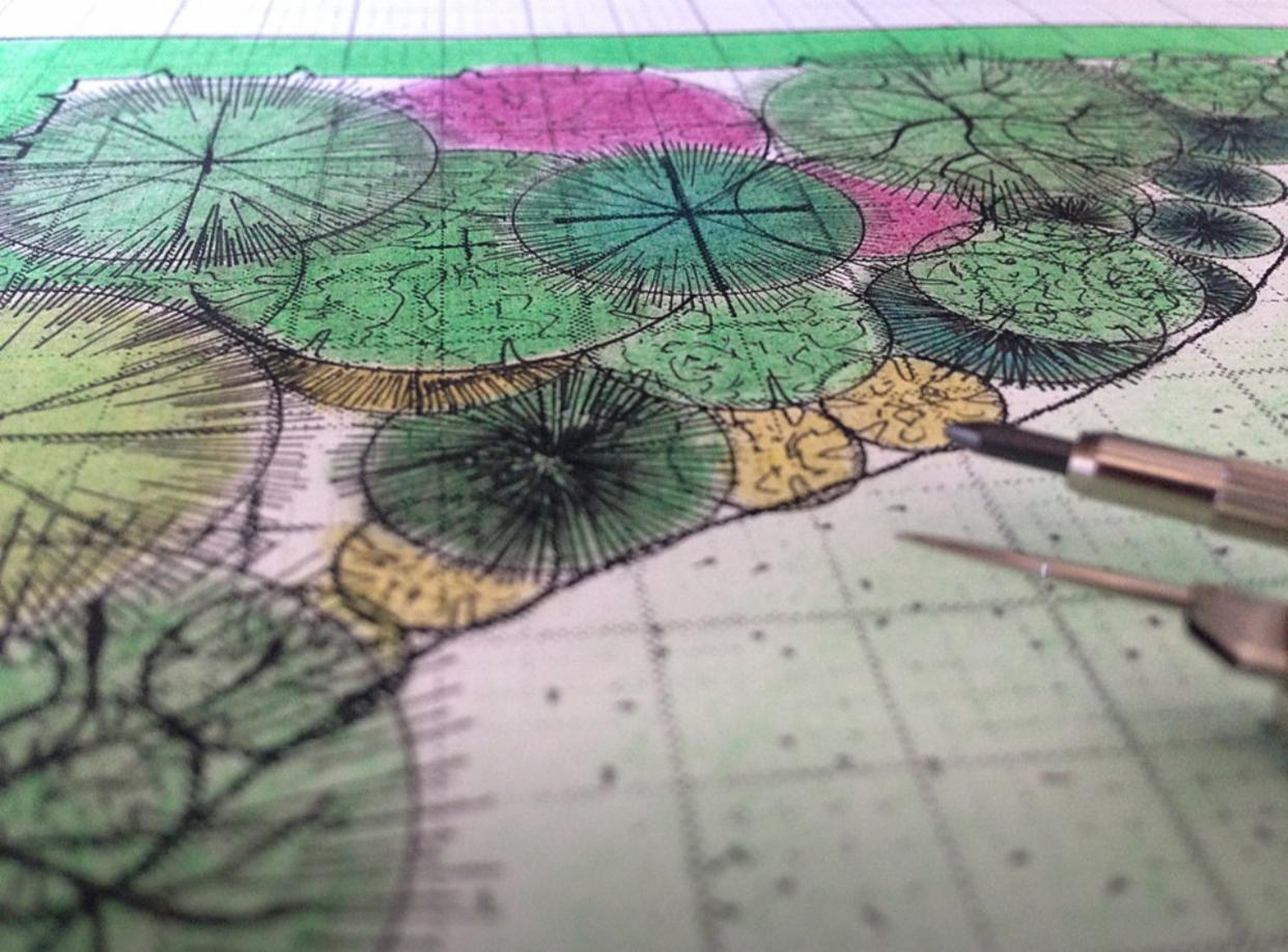 Ręcznie rysowany plan ogrodu z zaznaczonymi nasadzeniami drzew i krzewów, z użyciem kolorowych kredek i ołówków na papierze milimetrowym, z widocznymi narzędziami kreślarskimi.