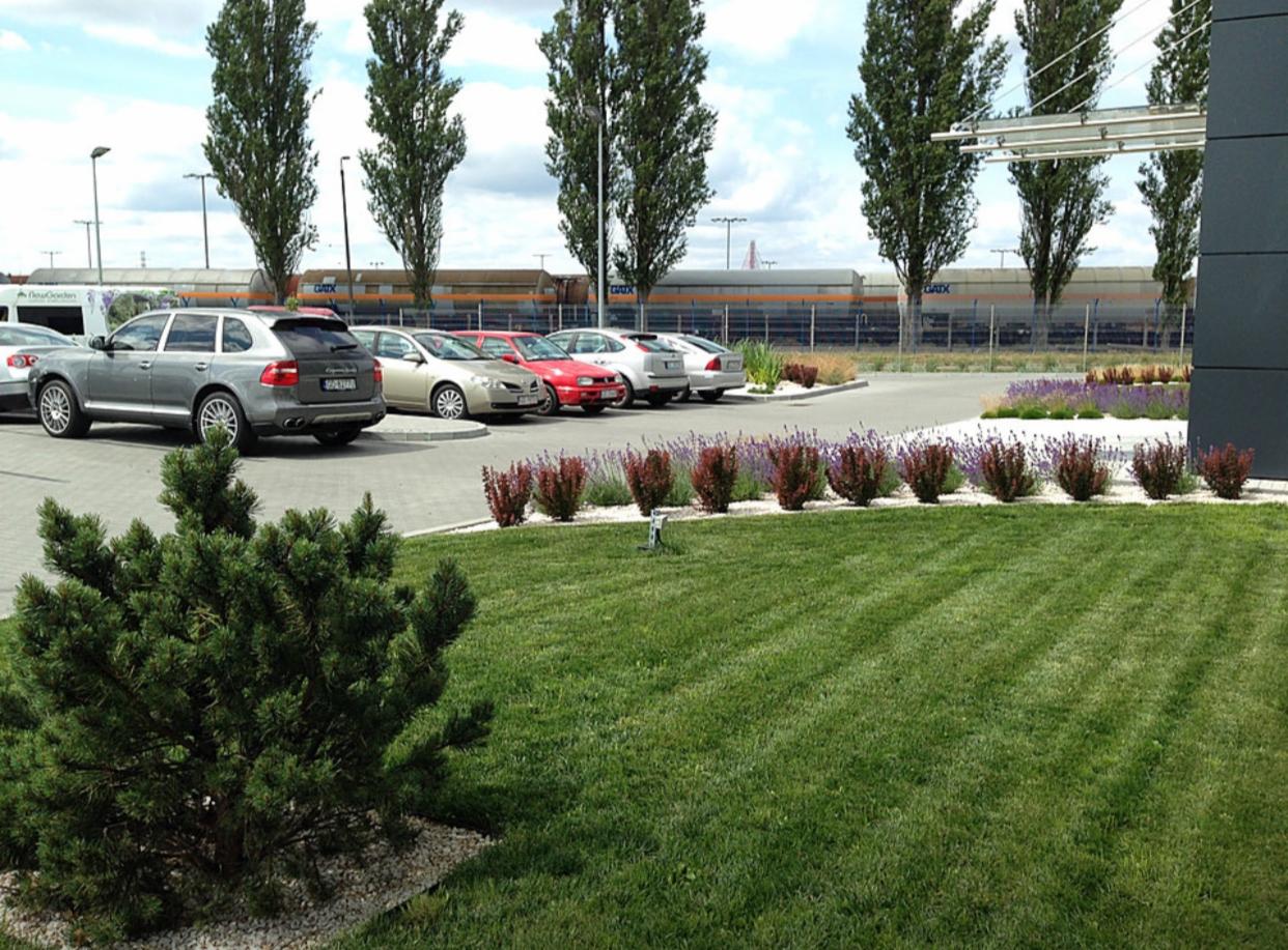 Utrzymany trawnik z regularnymi pasami koszenia, ozdobne krzewy wzdłuż parkingu dla samochodów osobowych, wysokie drzewa w tle i budynek biurowy.