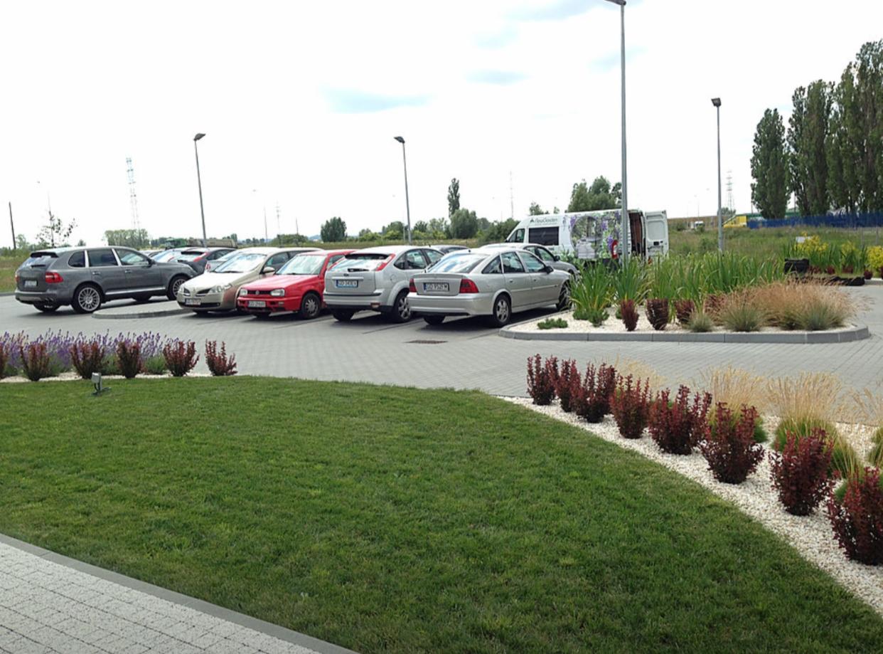Zagospodarowanie terenu zieleni przy parkingu: trawnik, rabaty z krzewami i trawami ozdobnymi, biały żwir, w tle zaparkowane samochody i bus z reklamą firmy ogrodniczej.