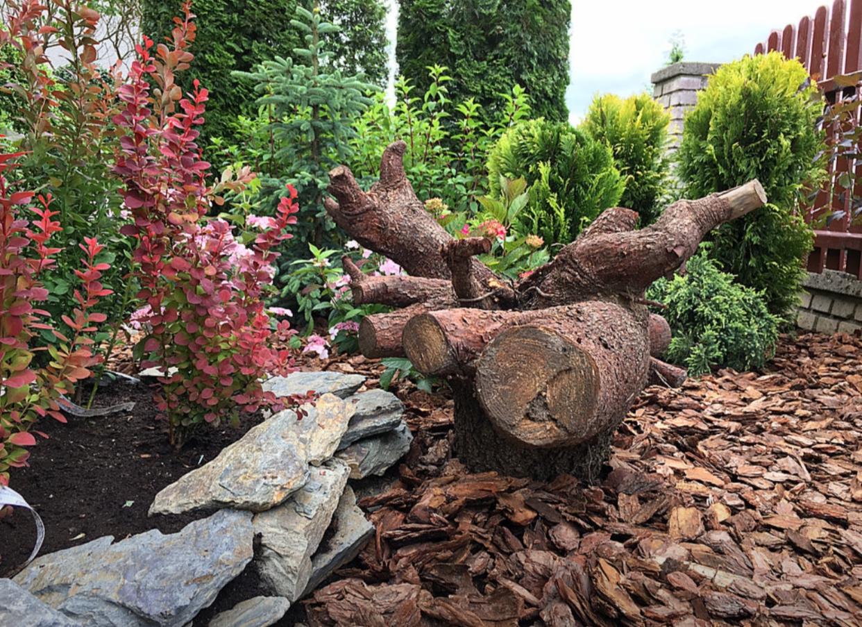 Kreatywna aranżacja ogrodu z wykorzystaniem pnia drzewa jako elementu dekoracyjnego, otoczonego korą i kamieniami, z roślinami ozdobnymi w tle.