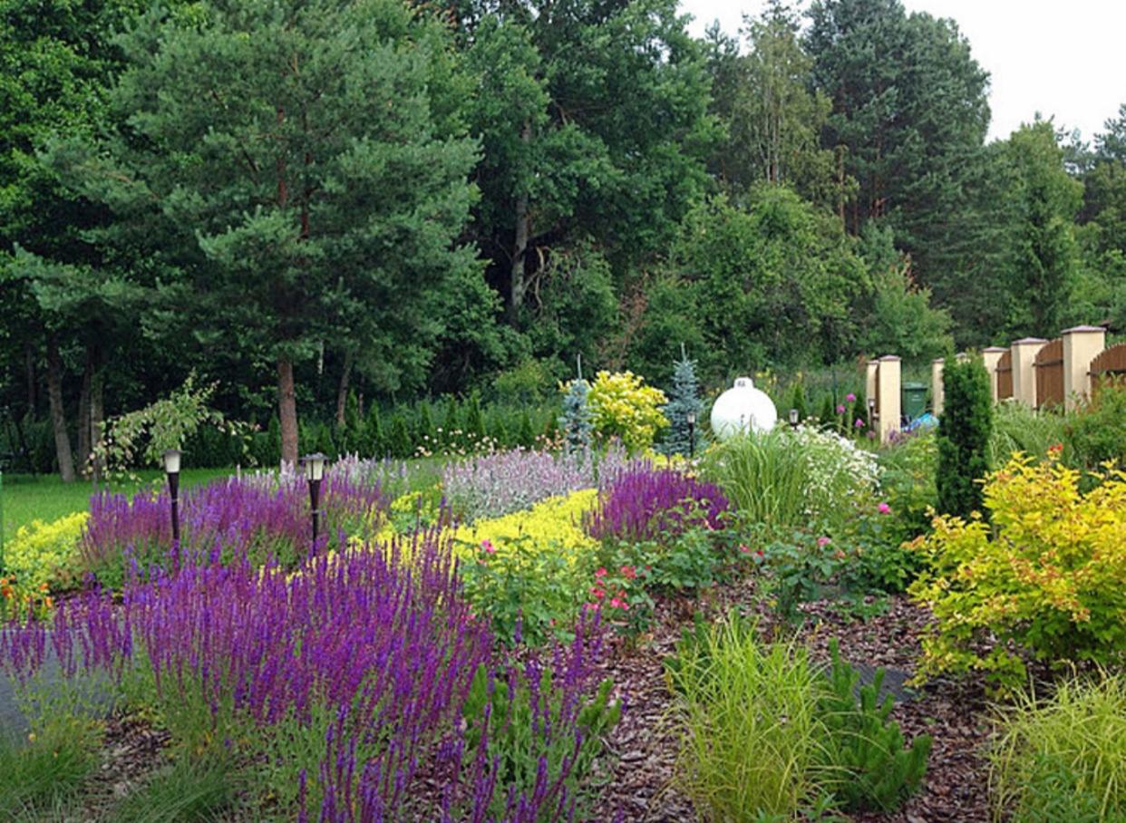 Kwitnący ogród z dominującą fioletową szałwią, żółtymi i różowymi kwiatami, ozdobnymi trawami oraz kulistą białą dekoracją w tle, oświetlony niskimi lampami ogrodowymi.